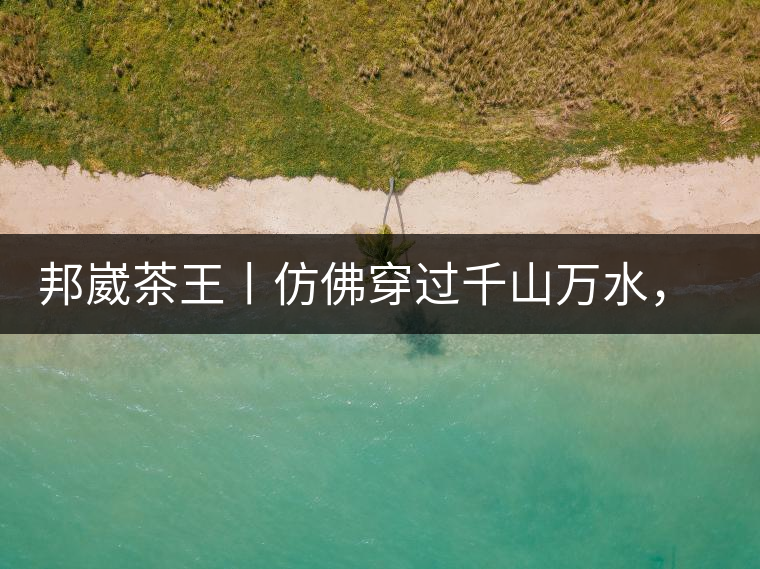 邦崴茶王丨仿佛穿過(guò)千山萬(wàn)水，就是為了它而來(lái)邦崴茶王丨仿佛穿過(guò)千山萬(wàn)水，就是為了它而來(lái)