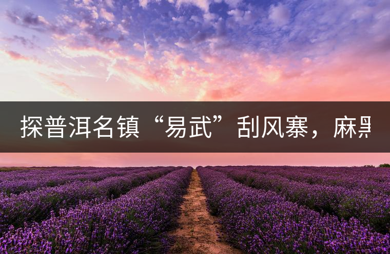 探普洱名鎮(zhèn)“易武”刮風(fēng)寨，麻黑，落水洞!小編親自下...探普洱名鎮(zhèn)“易武”刮風(fēng)寨，麻黑，落水洞！小編親自下手“殺青”