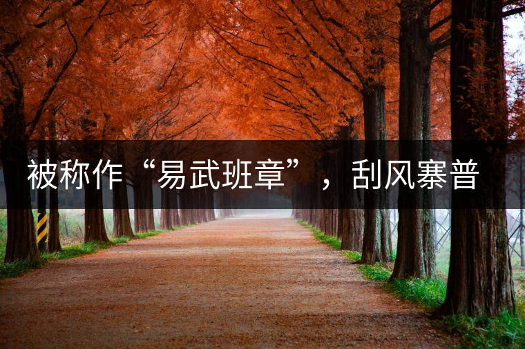 被稱作“易武班章”，刮風(fēng)寨普洱茶是否實(shí)至名歸?被稱作“易武班章”，刮風(fēng)寨普洱茶是否實(shí)至名歸？