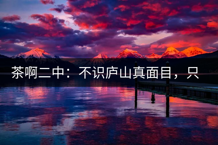 茶啊二中：不識(shí)廬山真面目，只識(shí)彎弓射大雕，賈淳真搞笑