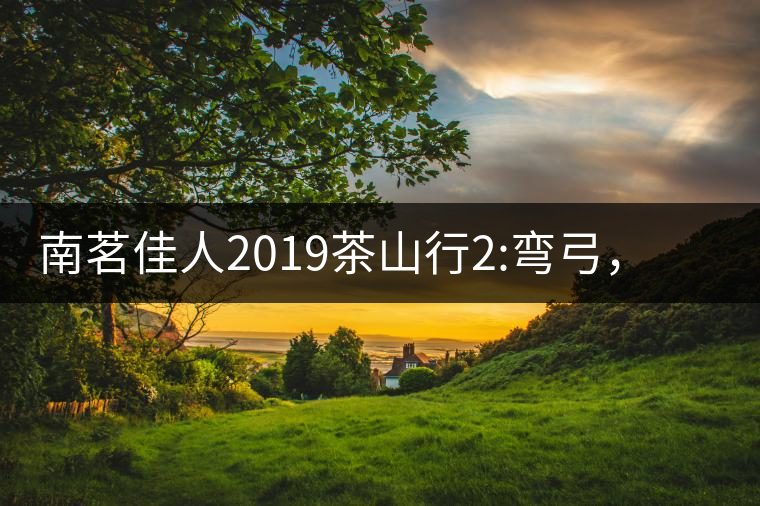 南茗佳人2019茶山行2:彎弓，一路艱辛，只為這有生命...南茗佳人2019茶山行2：彎弓，一路艱辛，只為這有生命厚度的茶！