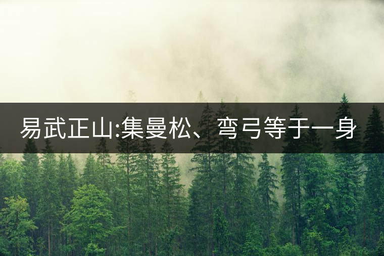 易武正山:集曼松、彎弓等于一身的貴族老黃片，好喝沒(méi)得...易武正山：集曼松、彎弓等于一身的貴族老黃片，好喝沒(méi)得說(shuō)