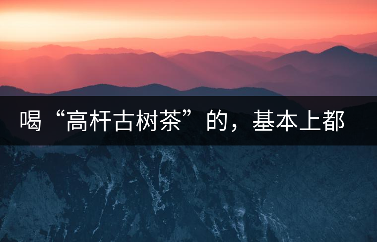 喝“高桿古樹茶”的，基本上都是不懂茶的