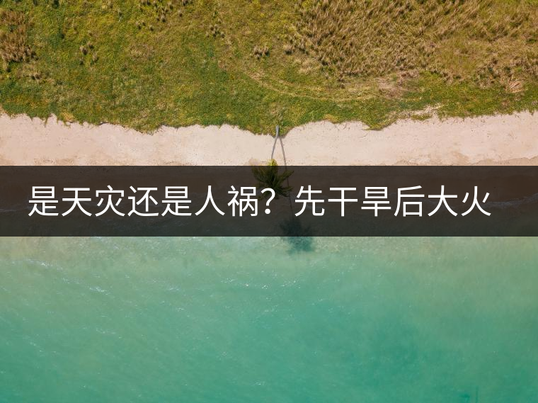 是天災(zāi)還是人禍？先干旱后大火，普洱茶將何去何從？