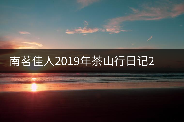 南茗佳人2019年茶山行日記2：彎弓——國(guó)有林深處的茶香飄揚(yáng)