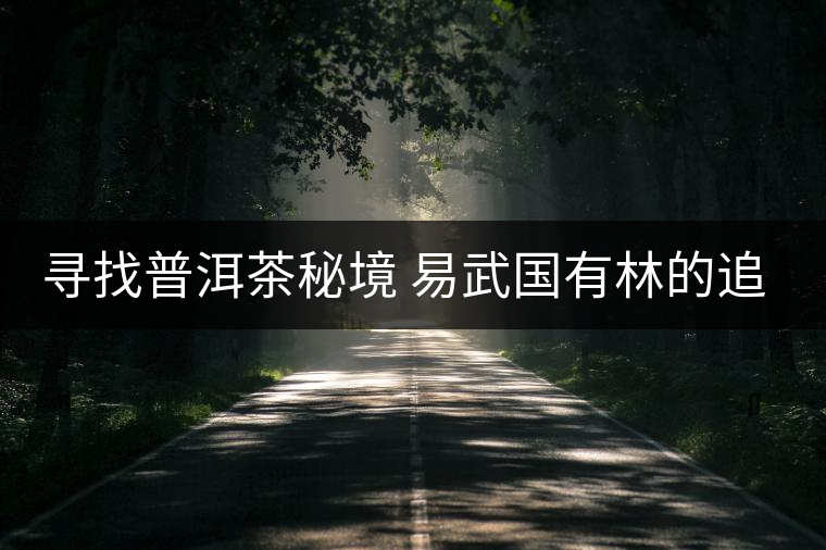 尋找普洱茶秘境 易武國有林的追逐戰(zhàn)尋找普洱茶秘境 易武國有林的追逐戰(zhàn) 尋找普洱茶秘境 易武國有林的追逐戰(zhàn)尋找普洱茶秘境 易武國有林的追逐戰(zhàn)