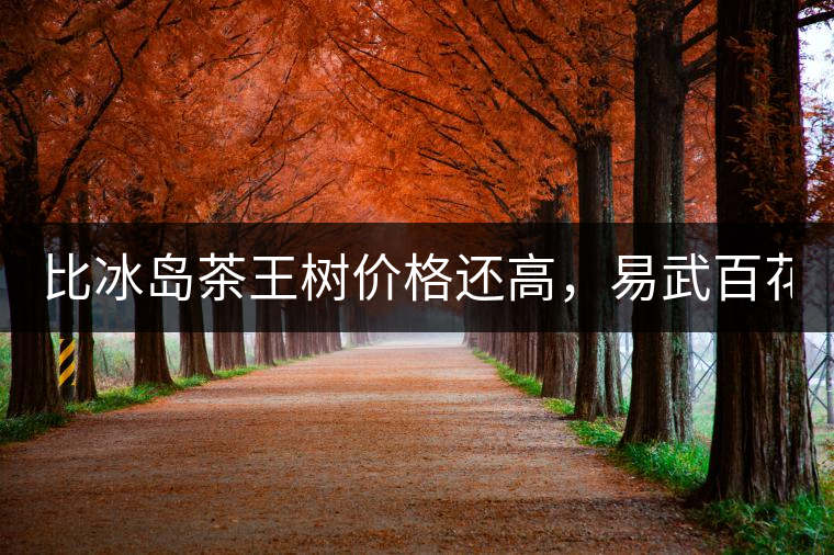 比冰島茶王樹價(jià)格還高，易武百花潭高桿古樹茶以100萬成...比冰島茶王樹價(jià)格還高，易武百花潭高桿古樹茶以100萬成交