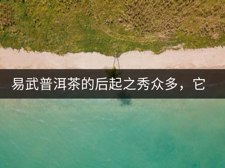 易武普洱茶的后起之秀眾多，它是還沒漲價(jià)的一個(gè)！