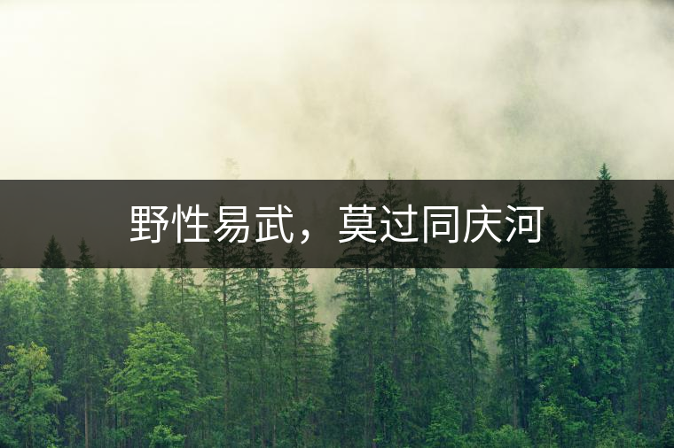 野性易武，莫過同慶河