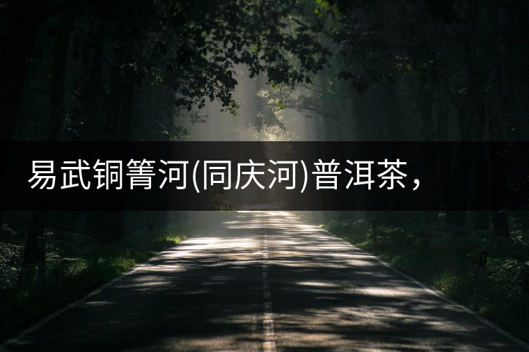 易武銅箐河(同慶河)普洱茶，讓我拜倒的不止它的口感易武銅箐河（同慶河）普洱茶，讓我拜倒的不止它的口感