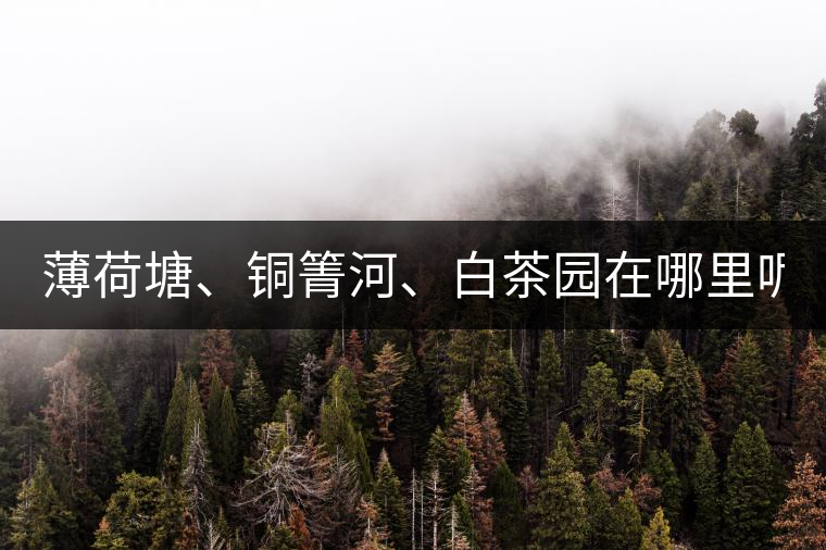 薄荷塘、銅箐河、白茶園在哪里呢?薄荷塘、銅箐河、白茶園在哪里呢？