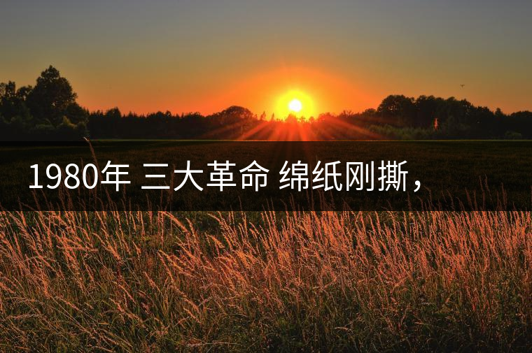 1980年 三大革命 綿紙剛撕，品相極好，整體干凈漂亮1980年 三大革命 綿紙剛撕，品相極好，整體干凈漂亮