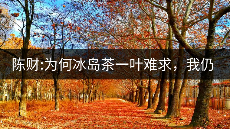 陳財(cái):為何冰島茶一葉難求，我仍然堅(jiān)持