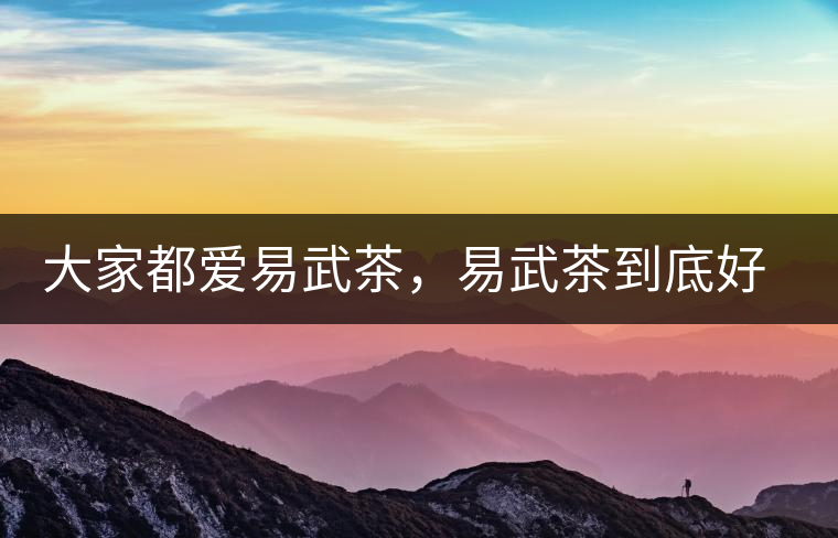 大家都愛易武茶，易武茶到底好在哪兒?大家都愛易武茶，易武茶到底好在哪兒？