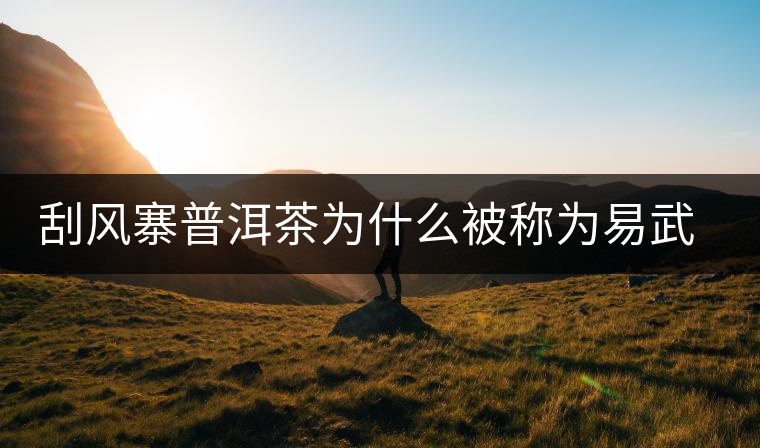 刮風(fēng)寨普洱茶為什么被稱為易武茶王？