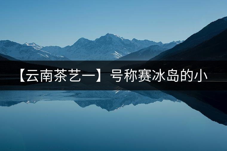 【云南茶藝一】號(hào)稱賽冰島的小戶賽憑什么！今天帶大家一起研究下