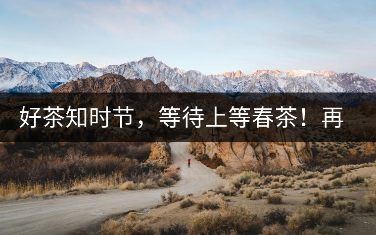 好茶知時節(jié)，等待上等春茶！再來回味這些年喝過的小戶賽古樹春茶