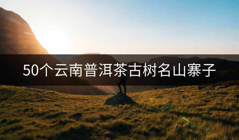 50個(gè)云南普洱茶古樹名山寨子 50個(gè)云南普洱茶古樹名山寨子
