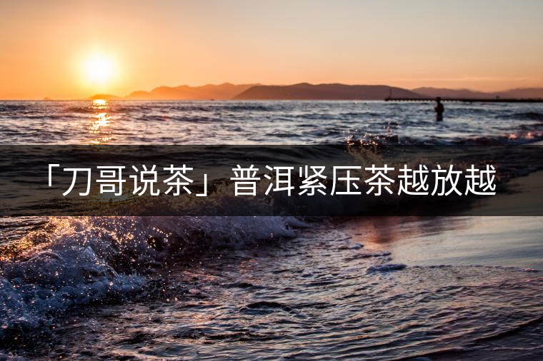「刀哥說茶」普洱緊壓茶越放越膨脹還是越收縮？