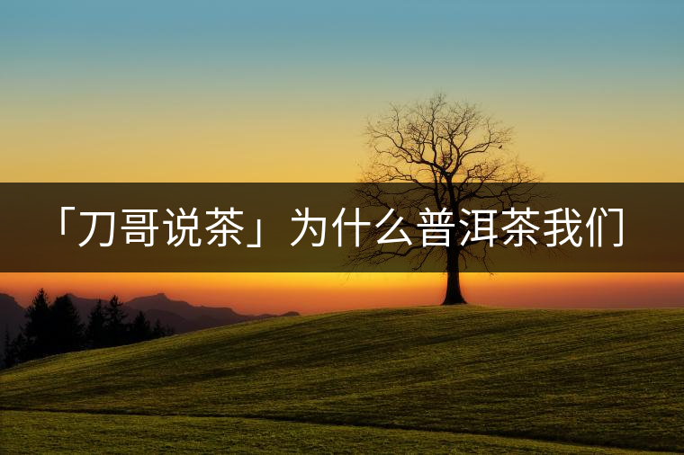 「刀哥說茶」為什么普洱茶我們情愿選三無？