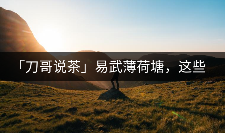 「刀哥說茶」易武薄荷塘，這些冷知識(shí)你該知道