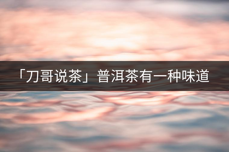 「刀哥說茶」普洱茶有一種味道，只可意會(huì)不可言傳