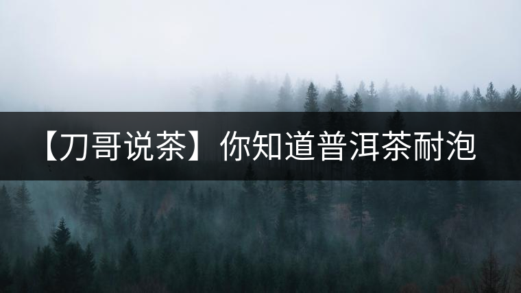 【刀哥說茶】你知道普洱茶耐泡，那你知道哪一類普洱茶比較耐泡？