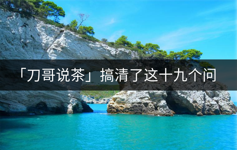 「刀哥說茶」搞清了這十九個問題，您就是熟茶專家