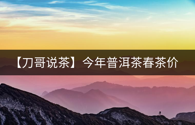 【刀哥說茶】今年普洱茶春茶價格，我不預測