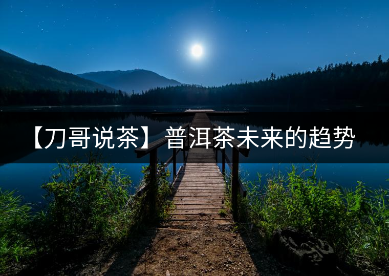 【刀哥說茶】普洱茶未來的趨勢，我看好熟茶