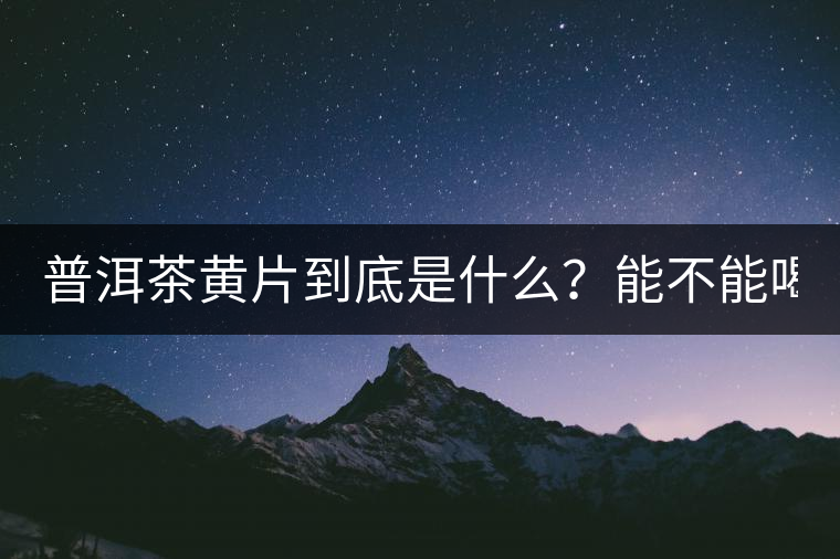 普洱茶黃片到底是什么？能不能喝？