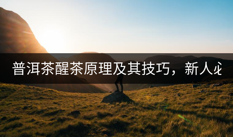 普洱茶醒茶原理及其技巧，新人必備！