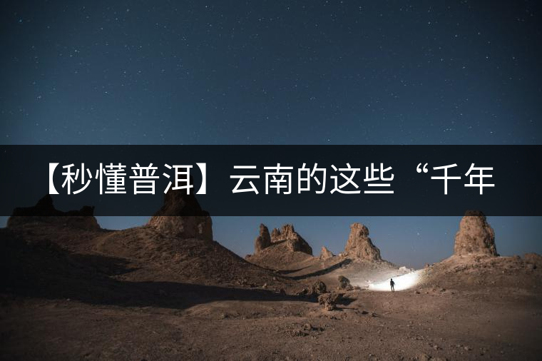【秒懂普洱】云南的這些“千年茶樹(shù)王”,你都知道嗎? 【秒懂普洱】云南的這些“千年茶樹(shù)王”,你都知道嗎?