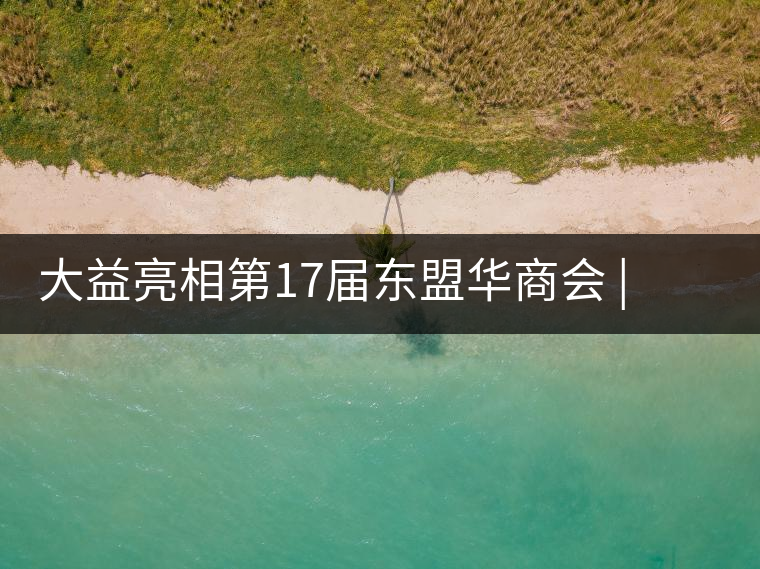 大益亮相第17屆東盟華商會(huì) | 海內(nèi)外嘉賓共謀發(fā)展，共品大益茶