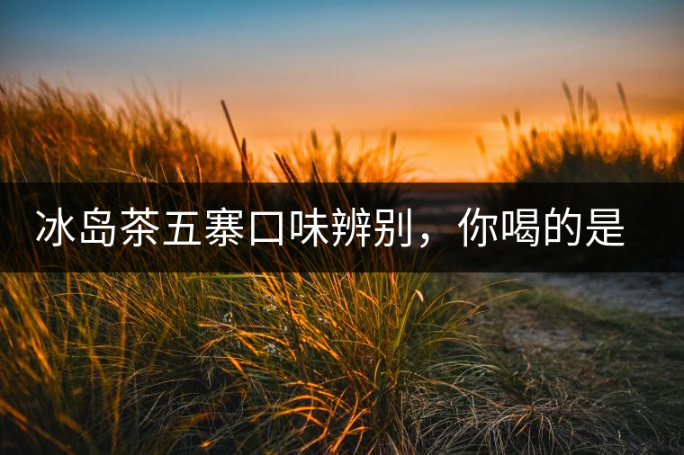 冰島茶五寨口味辨別，你喝的是正宗冰島茶嗎?冰島茶五寨口味辨別，你喝的是正宗冰島茶嗎？