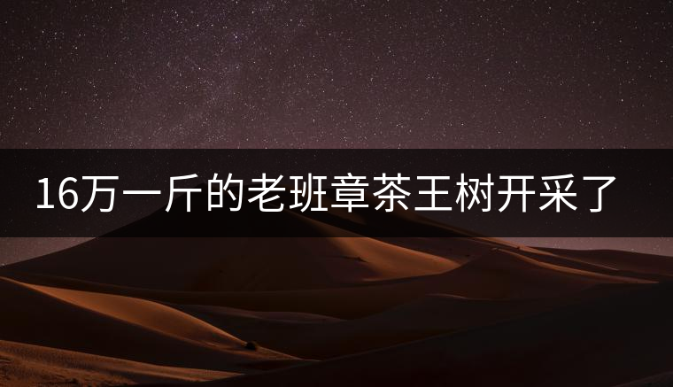 16萬(wàn)一斤的老班章茶王樹開采了，茶友果斷拉了一車現(xiàn)金去...16萬(wàn)一斤的老班章茶王樹開采了，茶友果斷拉了一車現(xiàn)金去！