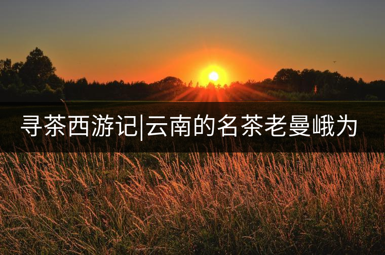 尋茶西游記|云南的名茶老曼峨為什么這么多人愛(ài)，這里...尋茶西游記｜云南的名茶老曼峨為什么這么多人愛(ài)，這里給你答案！