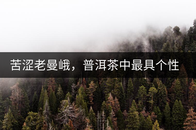 苦澀老曼峨，普洱茶中最具個性的“布朗味”苦澀老曼峨，普洱茶中最具個性的“布朗味”