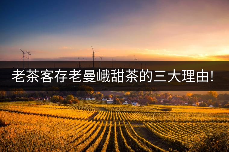 老茶客存老曼峨甜茶的三大理由!老茶客存老曼峨甜茶的三大理由！