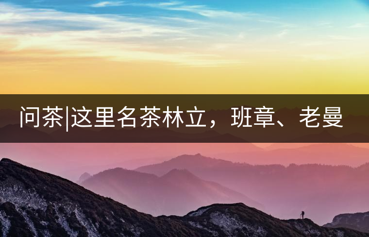 問茶|這里名茶林立，班章、老曼峨皆在其列!問茶｜這里名茶林立，班章、老曼峨皆在其列！