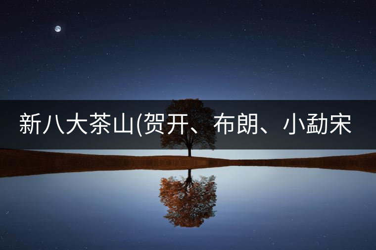 新八大茶山(賀開、布朗、小勐宋、巴達(dá))講解二新八大茶山（賀開、布朗、小勐宋、巴達(dá)）講解二