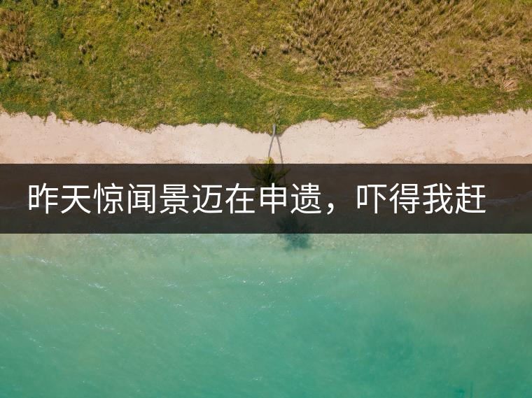 昨天驚聞景邁在申遺，嚇得我趕緊拿出景邁茶……昨天驚聞景邁在申遺，嚇得我趕緊拿出景邁茶……