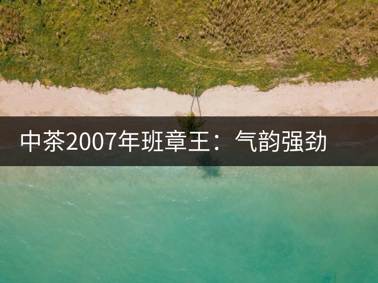 中茶2007年班章王：氣韻強(qiáng)勁，蜂蜜水般甜潤(rùn)，一直被老茶客撿漏