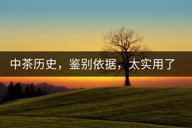 中茶歷史，鑒別依據(jù)，太實用了中茶歷史，鑒別依據(jù)，太實用了
