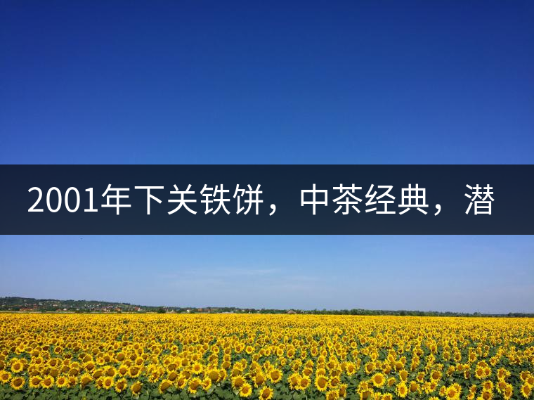 2001年下關(guān)鐵餅，中茶經(jīng)典，潛力可期!