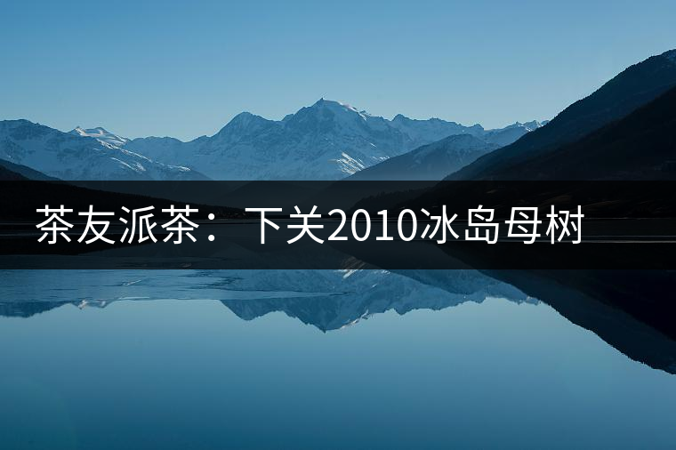 茶友派茶：下關(guān)2010冰島母樹，挺甜的，母樹是個(gè)什么概念？