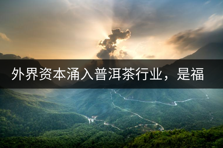 外界資本涌入普洱茶行業(yè)，是福還是禍？