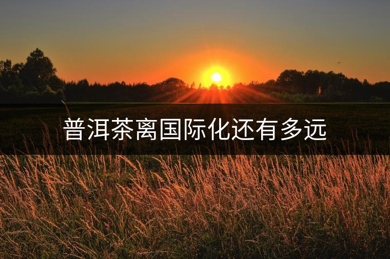 普洱茶離國際化還有多遠 普洱茶離國際化還有多遠