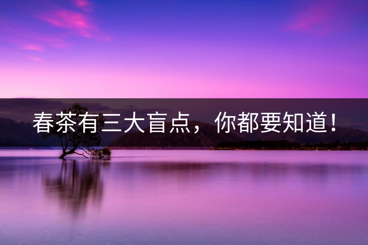 春茶有三大盲點，你都要知道！