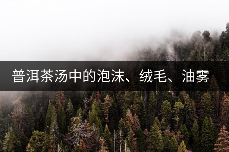 普洱茶湯中的泡沫、絨毛、油霧、絮狀物……原來(lái)是這些東西！